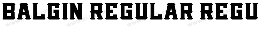 Balgin Regular Regul字体转换